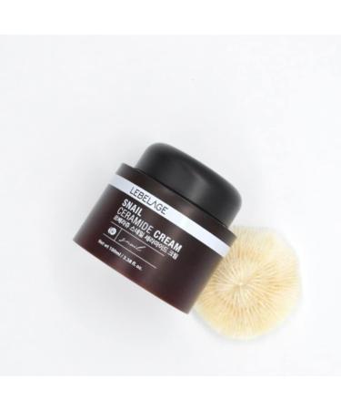 Snail Ceramide Repair Cream 3.38 fl oz - Korean Skincare for Brighter Skin Tone & Reduced Fine Wrinkles - Buy Online on GoSupps.com