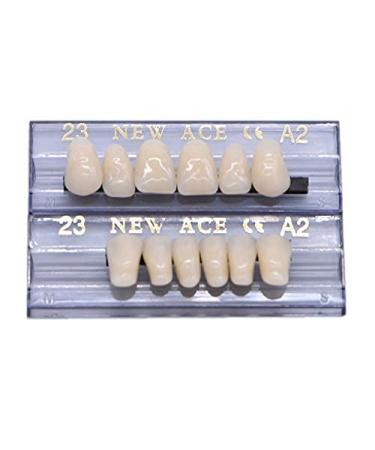 168 Pcs Dental Synthetic Resin Teeth Denture Set for Halloween - Horror False Teeth 23 A2 - Buy Online on GoSupps.com