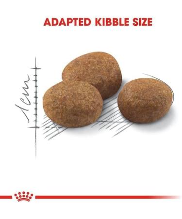 Royal Canin Regular Sterilized 7+ | Double Pack | 2 x 400g | Complete Food for Sterilized Cats | Can Help Support Kidney and - Buy Online on GoSupps.com