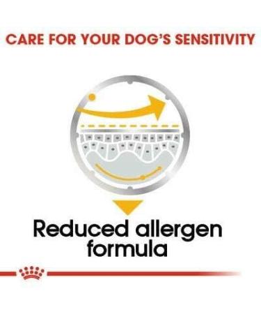 Royal Canin Dermacomfort Wet Pouches Adult Dog Food 85g (Pack of 48) - Buy Online on GoSupps.com