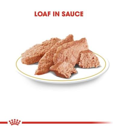 Royal Canin Dachshund Adult Mousse | Pack of 4 | 4 x 12 x 85 g | Complete Food for Dogs | for Adult Dachshunds | May Help Protect Bones and Joints - Buy Online on GoSupps.com