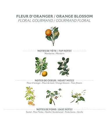 Panier des Sens Orange Blossom Shower Gel 250ml - Natural Body Wash - Made in France - 95% Natural - 8.45 Fl Oz - Orange Scented - Single Pack - Buy Online on GoSupps.com