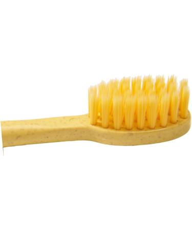 BUTIFULSIC 3pcs Lightweight Eco-Friendly Toothbrushes - Comfortable Small Head Design for Optimal Oral Care - Buy Online on GoSupps.com