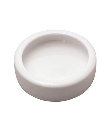 Reptile Food Water Dish Worm Bowl Mealworm Feed Feeder Mini Reptile Food Bowl Ceramics Made (L)