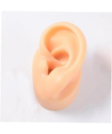 Professional Ear Piercing Tool Silicone Ear Model Practice Piercing Tools Ear Stud Display Tool Body Jewelry - Buy Online on GoSupps.com