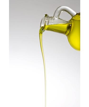 Futtermedicus Omega 3 Salmon Oil - Complementary food for dogs and cats - 250 ml - Buy Online on GoSupps.com