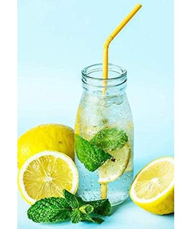 Lawei 12 Pack Smoothie Bottle Glass Juice Bottles Milk Liquor Bottles with 12 Reusable Straws and 24 Silver Lids - 325ml - Buy Online on GoSupps.com