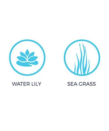 H2O+ Oasis Smooth Lip Conditioner Balm - Nourishing & Soothing Hydration 0.5 fl oz - Fast International Shipping - Buy Online on GoSupps.com