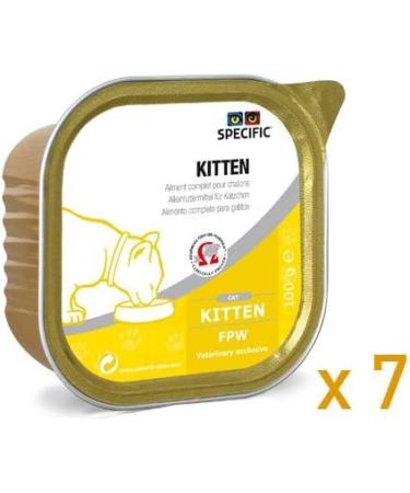 FPW Kitten 100 g TARRINE - Buy Online on GoSupps.com