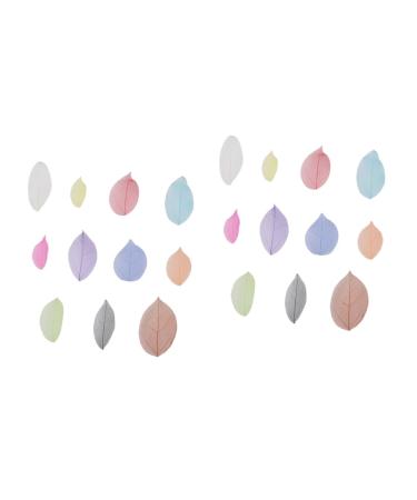 TEHAUX 200 Pcs Leaf Skeleton Art Natural Rubber Leaves Skeleton Natural Leaves Wedding Decor Leaves Charm Pendants Artificial Leaves Craft Skeleton Leaf Bamboo Phone Case Craft Leaf As Shownx2pcs Mx2pcs