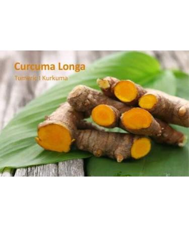 Sorion Cream 50G - Natural Eczema Psoriasis Treatment - Skin Care with Coconut Oil Neem Turmeric Gentle Moisturiser for Itch Relief Formula with Vitamin C Vitamin A Vitamin E to Renew Beauty - Buy Online on GoSupps.com