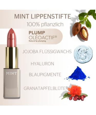 Shop Dr. Mintcheva's Red Classic Mint Lipstick with Blue Pigments | International Shipping Available - Buy Online on GoSupps.com