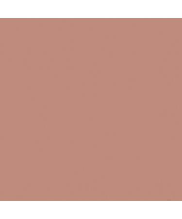 COVERGIRL Blastflipstick Lipcolor Intense 0.134 oz - Buy Online on GoSupps.com