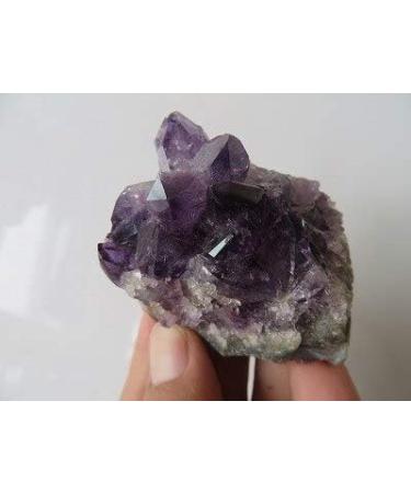 107g A+++ Uruguay Natural Amethyst Quartz Crystal GEODE Cluster ningxiao - Buy Online on GoSupps.com