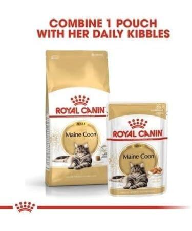 Royal Canin Maine Coon Adult Cat Food 85g x 24 - Buy Online on GoSupps.com