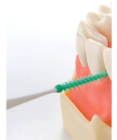 Interdental Brushes - Portable Oral Care Tool | 20pcs Tooth Cleaning Picks for Healthy Smile - Buy Online on GoSupps.com