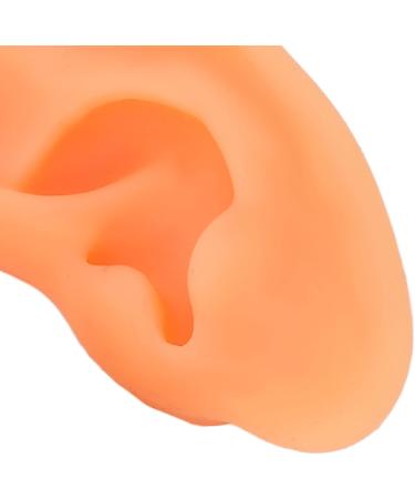 Flexible Acupuncture Ear Model - 2 Pieces Left and Right Clear Structure for Doctors - Buy Online on GoSupps.com