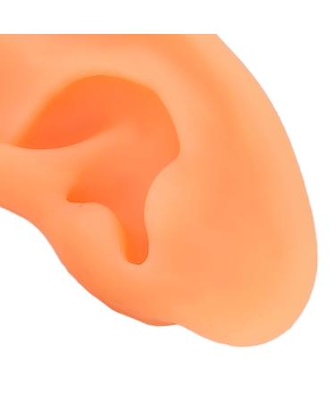 Ear Model ANGGREK 2 Pieces Ear Modeling Tools Hearing Amplifier Dispalying Assistance Display Ear Model Ear Wraps for Teaching Replacement - Buy Online on GoSupps.com