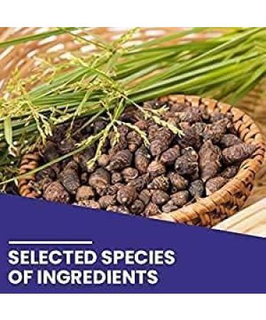 QURA Laboratories Poudre Nagarmotha 100 g - Buy Online on GoSupps.com