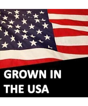 Organic 1.9 LB White Virtually Hulless Popcorn Kernels | Resealable Bag | USA Grown | Non-GMO | Vegan & Kosher | Perfect for Movie Night - Buy Online on GoSupps.com