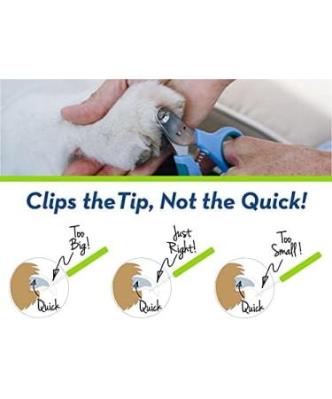 Zen Clipper - Revolutionary 2mm Pet Nail Clipper | Safe & Easy Tip Trimming (Purple) - International Shipping - Buy Online on GoSupps.com
