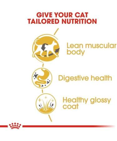 Royal Canin Siamese Adult Dry Cat Food 3 x 400g - Buy Online on GoSupps.com