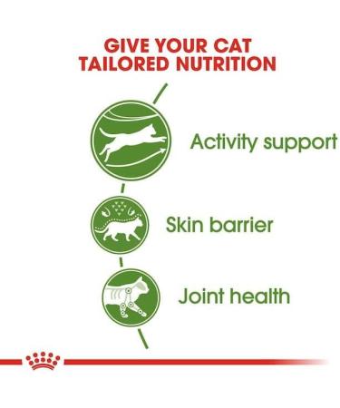 Royal Canin Cat Food Outdoor 30 Dry Mix 400 g (Pack of 4) - Buy Online on GoSupps.com