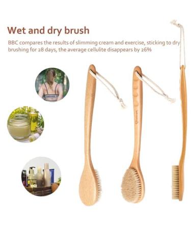 Dry Brushing Body Brush for Smooth Skin & Cellulite Reduction - Long Handle Shower Back Brush with Natural Bristles for Skin Massage & Circulation Boost - Buy Online on GoSupps.com
