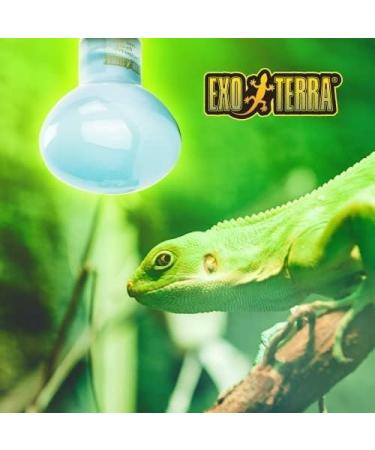 Exo Terra Daylight Basking Spot - 75W R20 Broad Spectrum Daylight Lamp - E27 Socket for Reptiles & Amphibians | International Shipping - Buy Online on GoSupps.com
