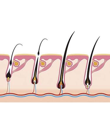 Trinov Anti-Fall Lotion for Women | Effective Hair Loss Treatment | Dermatologically Tested | 30 ml - 1 Pack - Buy Online on GoSupps.com