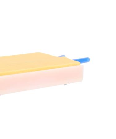 Reusable Venipuncture & Injection Training Pad for Students - Multipurpose Model - Buy Online on GoSupps.com