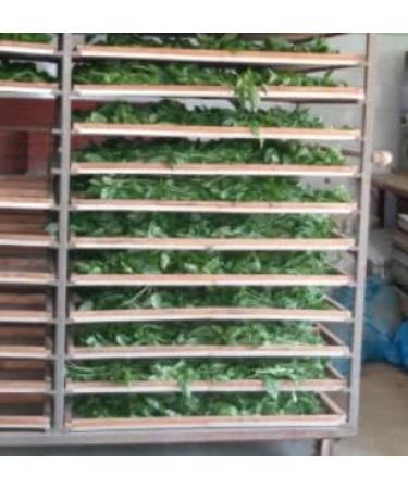 Basil extract enriched with iodine / 50 ml / 4.8 g - Buy Online on GoSupps.com