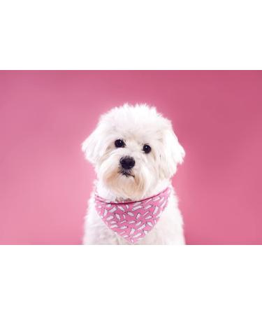 Lionet Paws Halloween Dog Bandana - Ghost Triangle Scarf for Small Medium & Large Dogs (Pack of 1) - Perfect Pet Costume Accessory - Buy Online on GoSupps.com