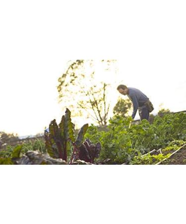 Dr. Cowan's Low-Oxalate Organic Greens Refill Pouch - Kale, Mustard, Collard Greens | USA Grown - Buy Online on GoSupps.com