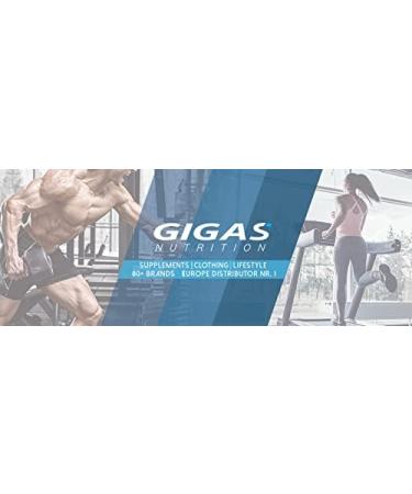 GN Laboratories 100% Dairy Whey Protein Shake - Peanut Butter Chocolate 1000g | Bodybuilding Protein Powder for Optimal Muscle Growth - Buy Online on GoSupps.com