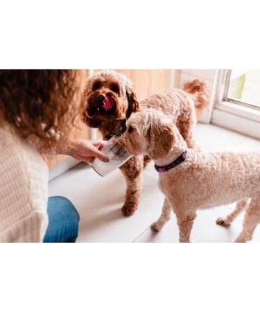 12x 200ml TopLife PUPPUCINO style milk for dogs (OVER 12 MONTHS OLD) - froth up or simply pour goats milk - Buy Online on GoSupps.com