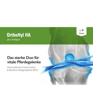 Vetvital Viequo Orthohyl HA for Horses - 1L Joint Supplement for Mobility & Resilience | Ideal for All Ages & Sports Horses - International Shipping Available - Buy Online on GoSupps.com