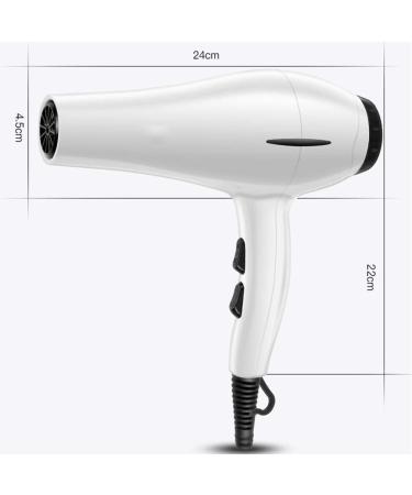 JYYBN Hair Dryer Professional Hair Dryer AC Motor 1800W Negative Ionic Hairdryer with 3 Heat 2 Speed Settings for Home & Salon Fast Drying Blow Dryer Protect Hair - Buy Online on GoSupps.com