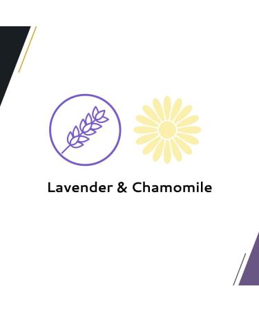 Wahl Canada No Rinse Shampoo for Cats Calming Formula Shampoo in Lavender Chamomile Freshens and Conditions the Coat Waterless Shampoo Foam Dispenser 210ml model 58300 - Buy Online on GoSupps.com
