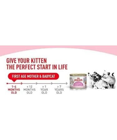 Royal Canin First Age Mother & Babycat Mousse 6 x 195g - Buy Online on GoSupps.com