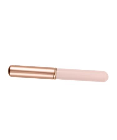 DRESSOOS Lip Blending Brush Makeup Brush Lip Gloss Portable Lip Brush Lipstick Brush Lipstick Applicator Wands Foundation Brush Lip Applicator Smudge Brush Short Aluminum Tube Pink Lip Balm