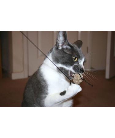 Purrs Mouse attachment- Fits PurrSuit Frenzy & DaBird wand Cat Toys - Buy Online on GoSupps.com
