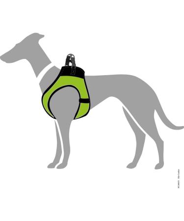 HUNTER HILO COMFORT Harness for Small Dogs - Reflective Mesh Material Lime - Perfect Fit & Safety - Buy Online on GoSupps.com