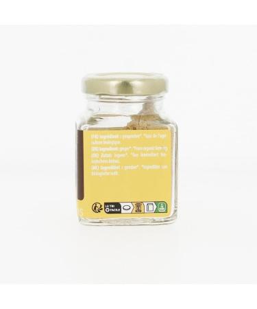 TERRA MADRE Organic Ginger Powder 30g - India - Buy Online on GoSupps.com