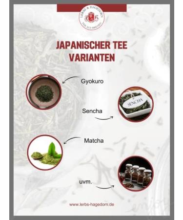  Lerbs & Hagedorn Lerbs & Hagedorn Organic Japanese Tamaryokucha Green Tea | Nutty Notes 1 kg (approx. 81 liters) Lime Green Cup - Buy Online on GoSupps.com