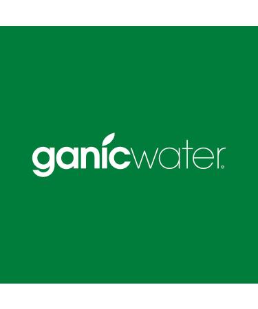 Organic Watermelon Mint Flavored Water - Isotonic Low Calorie Vegan - 100% Recycled PET (12 x 500ml) - Shop Now! - Buy Online on GoSupps.com