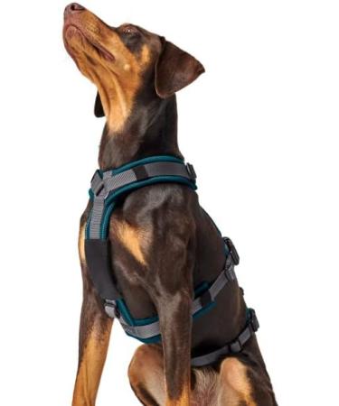 Shop Safety Harness Maldon - Petrol/Grey Color Size LL | Durable & Comfortable | International Shipping Available - Buy Online on GoSupps.com