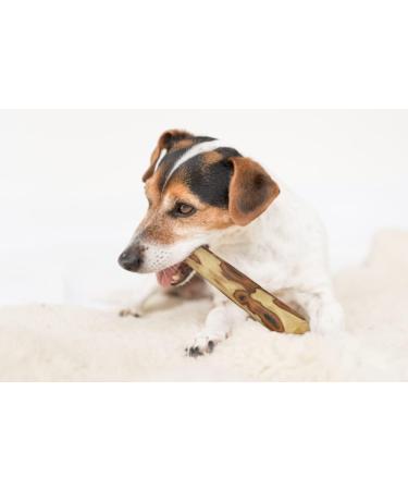 Buy ARTISAN GIFT CO Olive Wood Chew Toy for Dogs - 100% Natural Small Size (12 cm) for Dogs Up to 10 kg - Ideal Gift for Pets - Buy Online on GoSupps.com