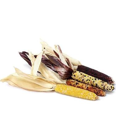 Portal Cool Firecracker - Mini Miniatura Colorata Granturco Popcorn Semi 20+ Pz - Buy Online on GoSupps.com