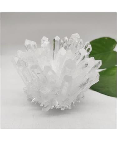 Home Decor 1pcs Natural Raw Quartz White Clear Crystal Cluster Stones Crystal Point Specimen Home Decoration Raw Crystals Mi Soothing Crystal Household Crystal Cluster (Size : 600-700g) - Buy Online on GoSupps.com